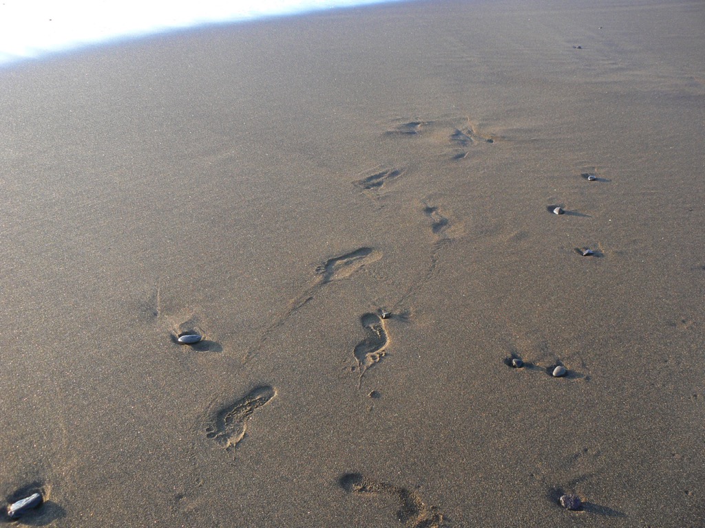 footprints